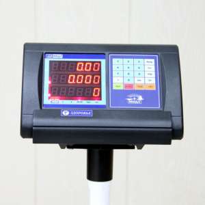 Весы МП "Здоровье" 300 ВЖА-(50/100; Р) (800х800) 15 К фото